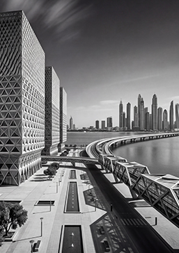 Export & International