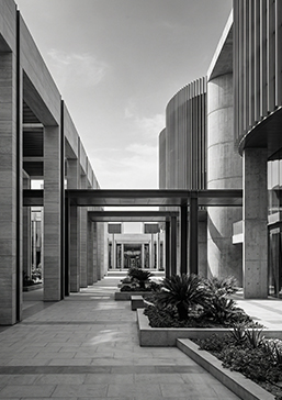 Representation & Commercialization